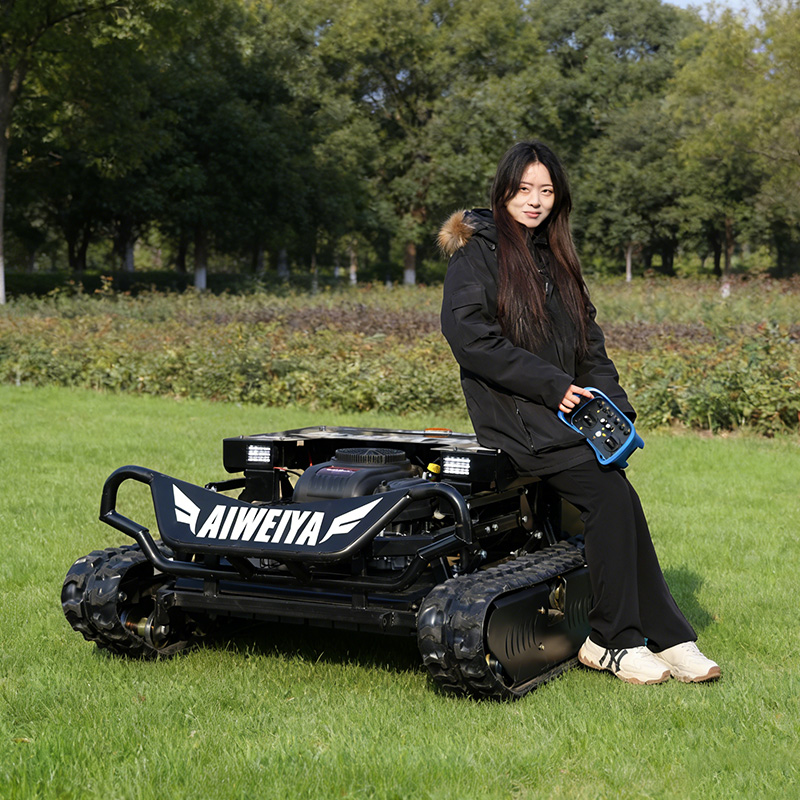 Customized remote control lawn - Hedge Trimmer Cordless review and price