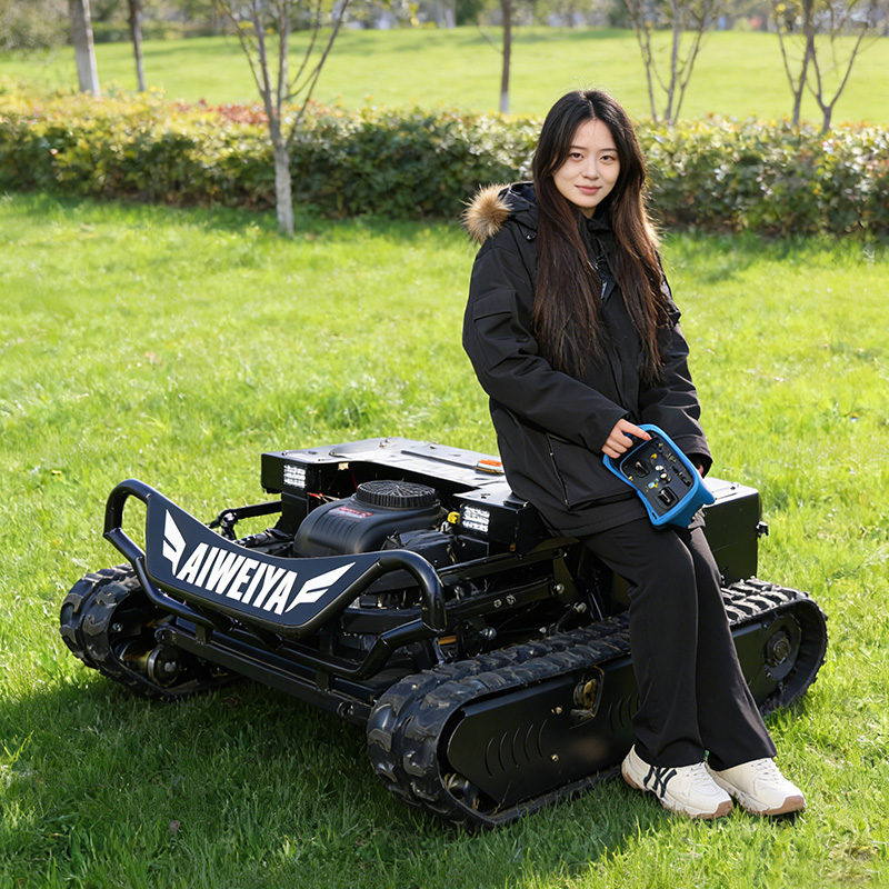 Customized remote control lawn - Hedge Trimmer Cordless review and price