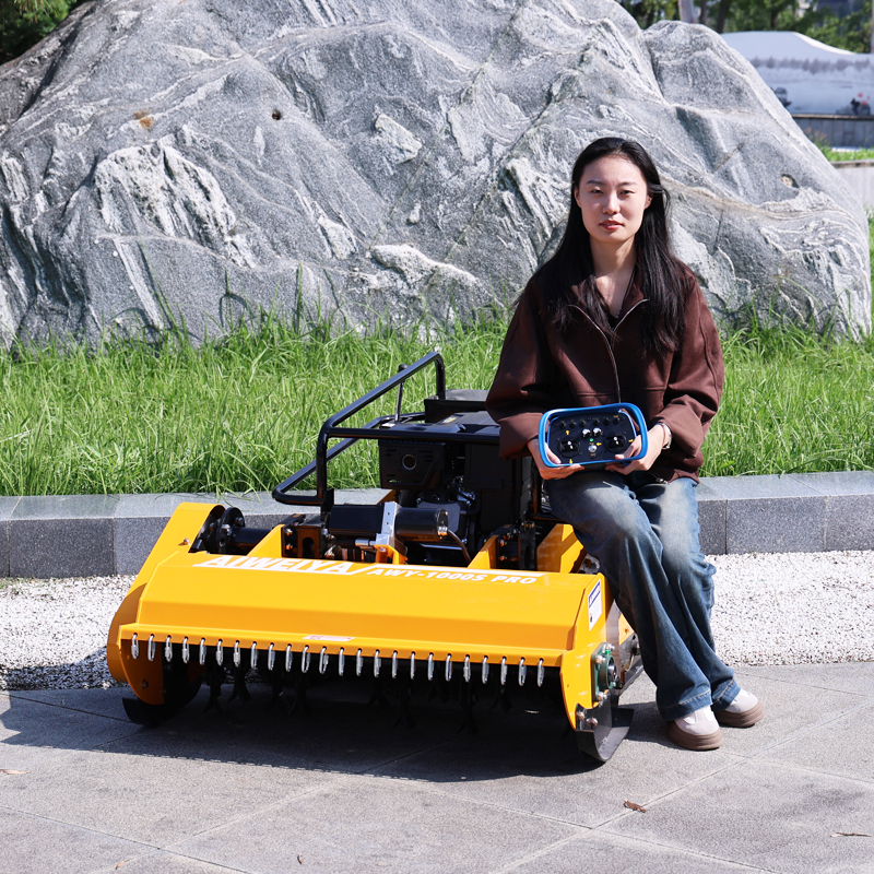 Customized Multi-Function Remo - Hedge Trimmer Cordless review and price